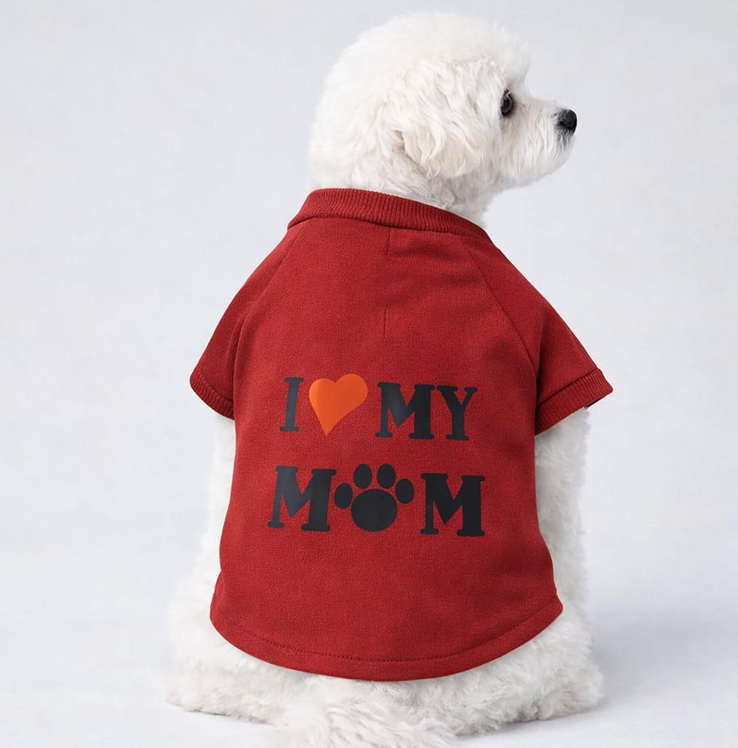 I love My Mom
